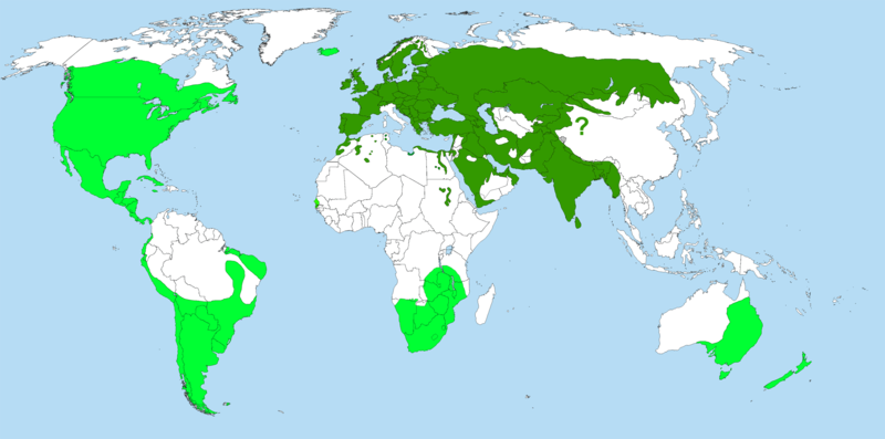 File:PasserDomesticusDistribution.png