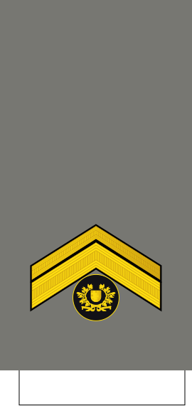 File:Portugal-Army-OR-9b.svg