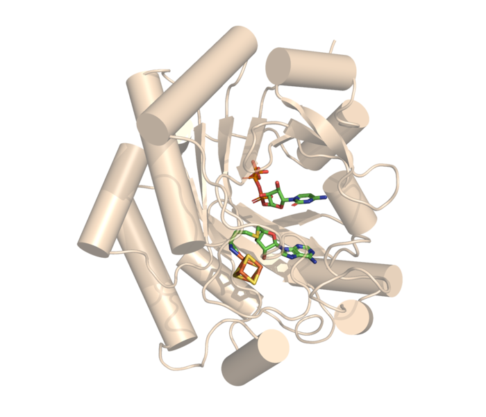 File:Viperin-CTP-SAH.png