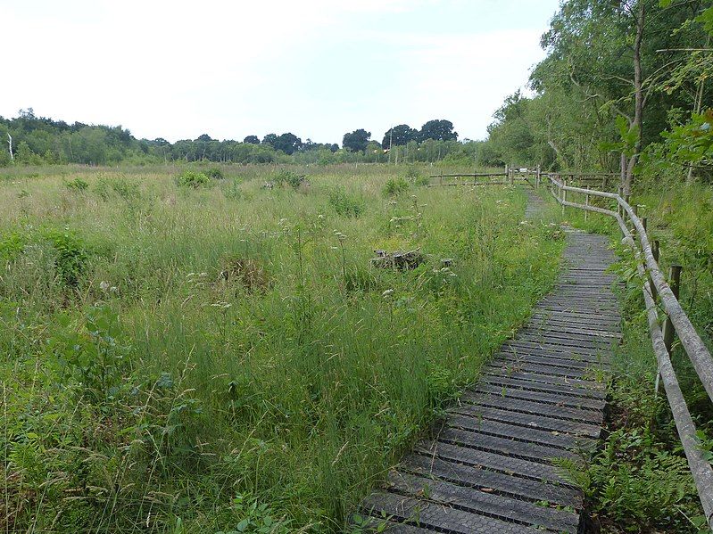 File:Wybunbury Moss.jpg