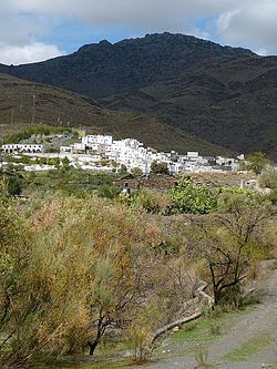 View of Velefique