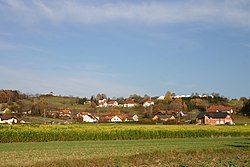 View of Burgauberg-Neudauberg