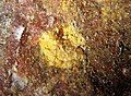 Chursinite: an extremely rare arsenate of mercury: yellow microcrystals on matrix