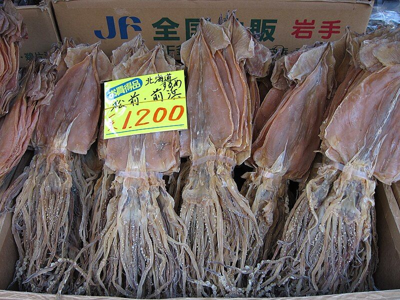 File:Dried cuttlefish (5184319530).jpg