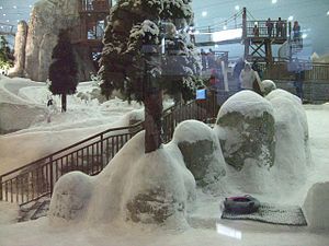 Looking into Ski Dubai from inside the mall