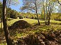 Mount Camiolo di Cima, Olva land