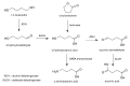 Metabolic pathways of gamma-hydroxybutyric acid