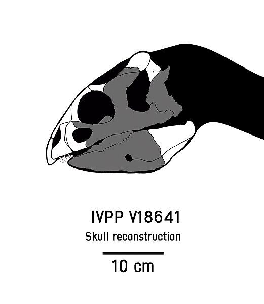 File:IVVP V18641.jpg