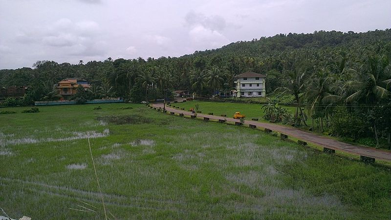 File:Manalippuzha - മണലിപ്പുഴ.jpg