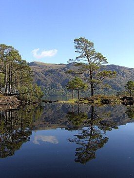 Eilean Ruairidh Mòr, Loch Maree