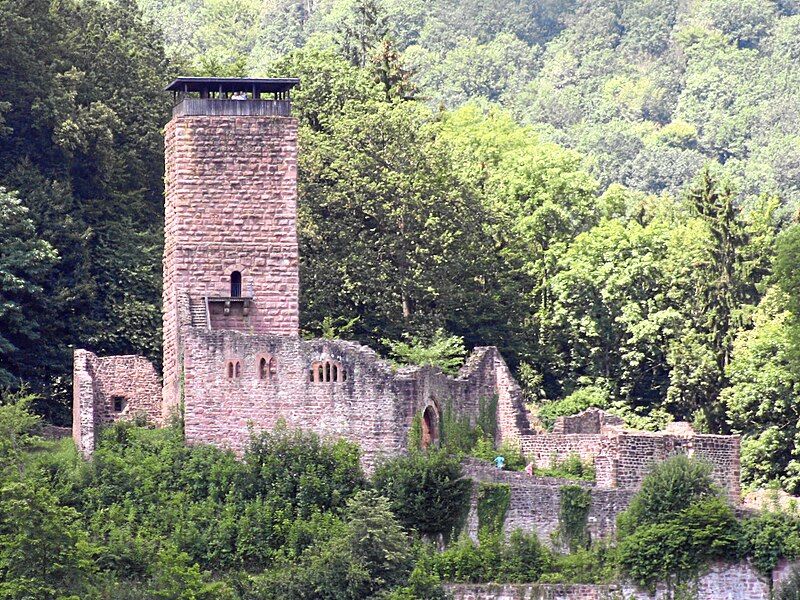 File:Neckarsteinach Hinterburg1.JPG