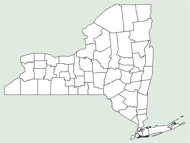 File:No counties nymap.svg