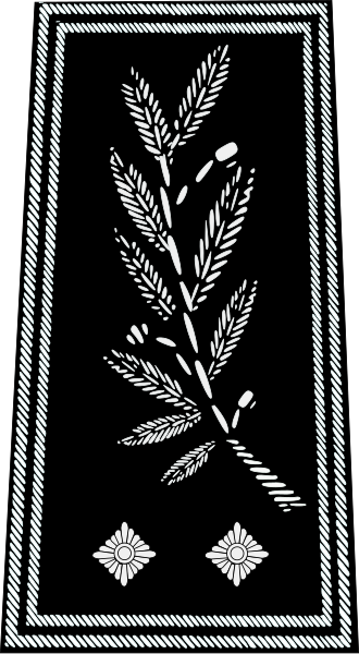 File:Police nationale-contrôleur général.svg