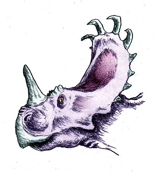 File:Sinoceratops zhuchengensis.jpg