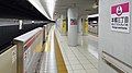 Oedo Line platform, 2019