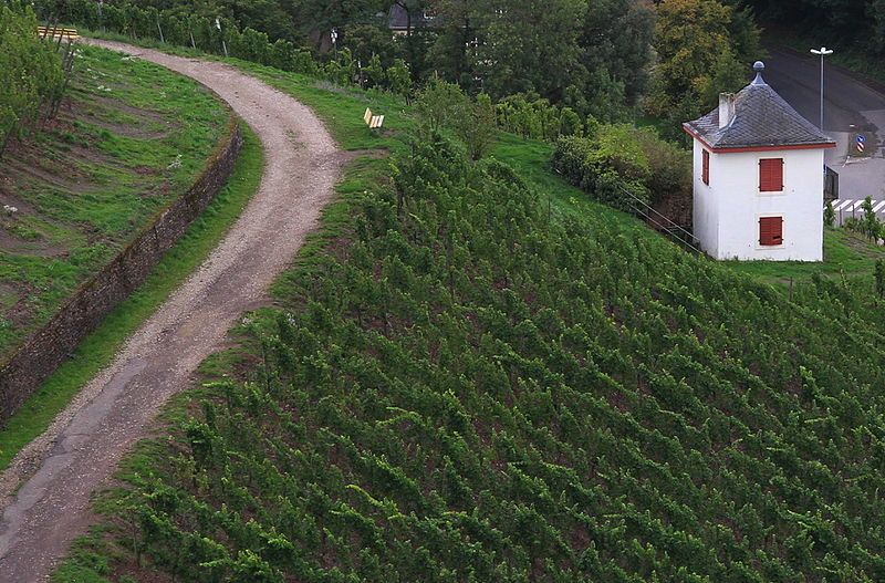 File:Trier-Olewig Weinbergshaeuschen.jpg