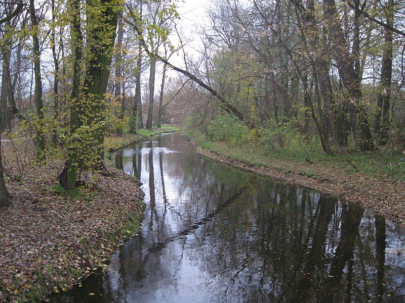 File:Wrześnica river.JPG