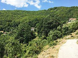 Houses in the village Viduše