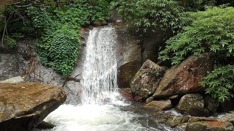 File:A mountain stream.JPG