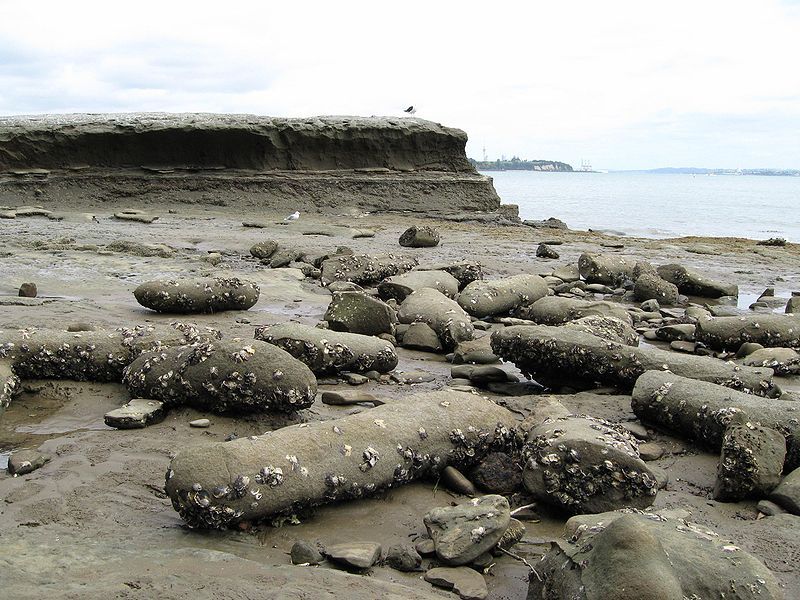 File:Archilles concretions scattered.jpg