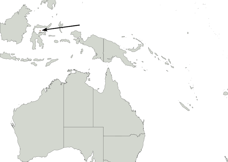 File:Babyrousa togeanensis map.svg