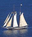 US topsail schooner Californian