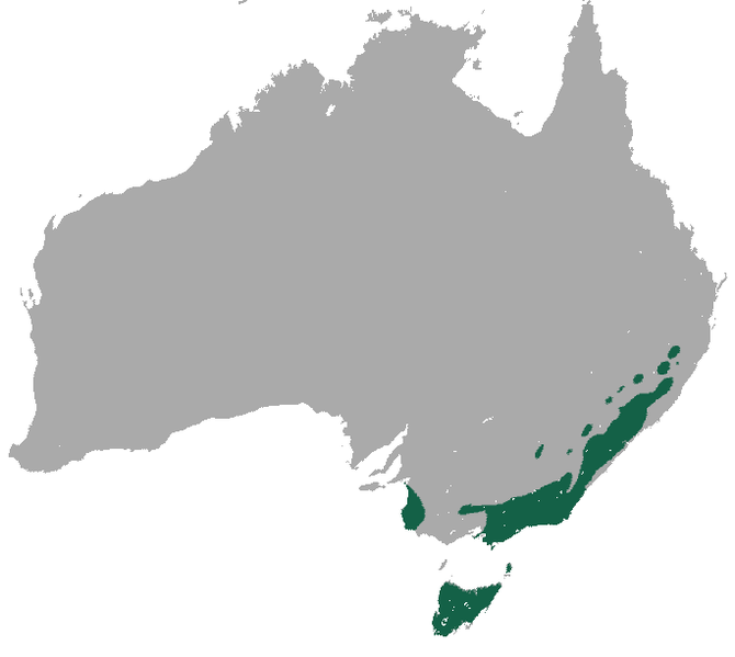 File:Common Wombat area.png