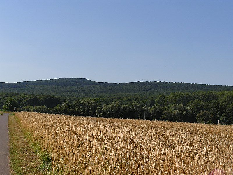 File:Hesselberg Gickelsburg Bottigtal.jpg