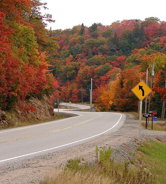 File:Hwy 556 ON.JPG