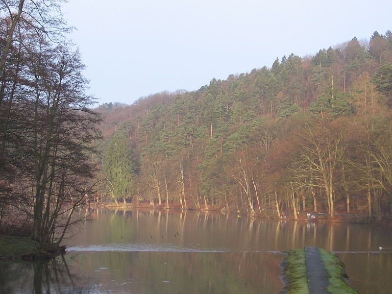 File:Lac de Warfaaz1.jpg