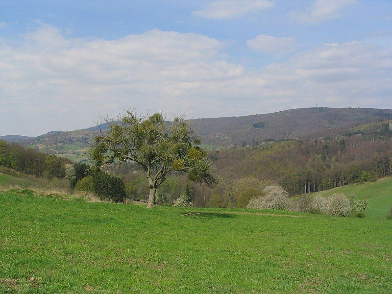 File:Lautertal Felsberg 639.JPG