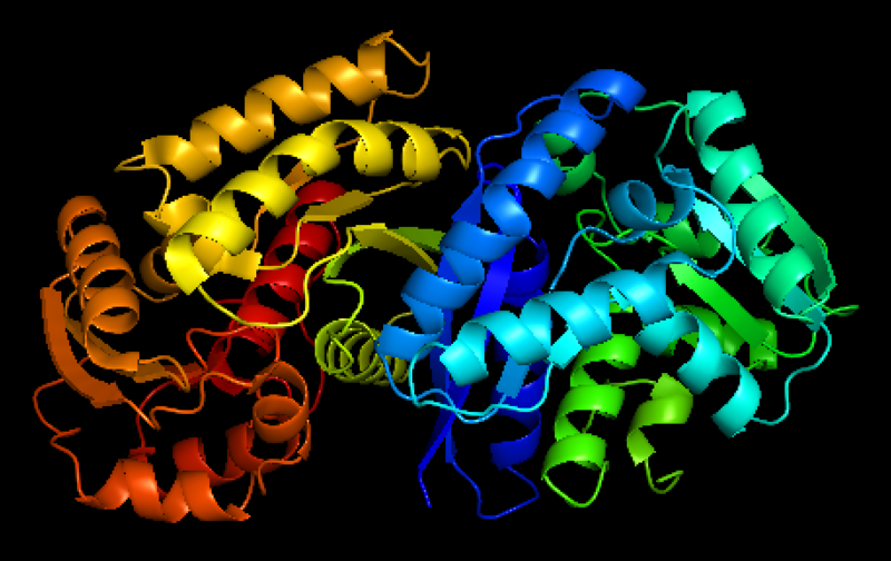 File:Maleate Isomerase.png