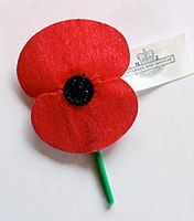 An example of the artificial Flanders poppy, distributed in New Zealand by the RSA for Anzac Day