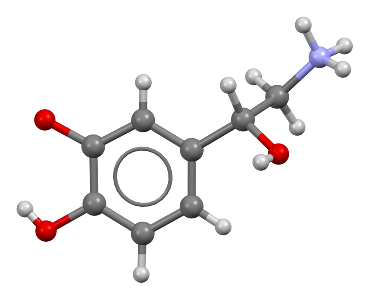 File:Noradrenaline-from-xtal-view-1-3D-bs-17.png