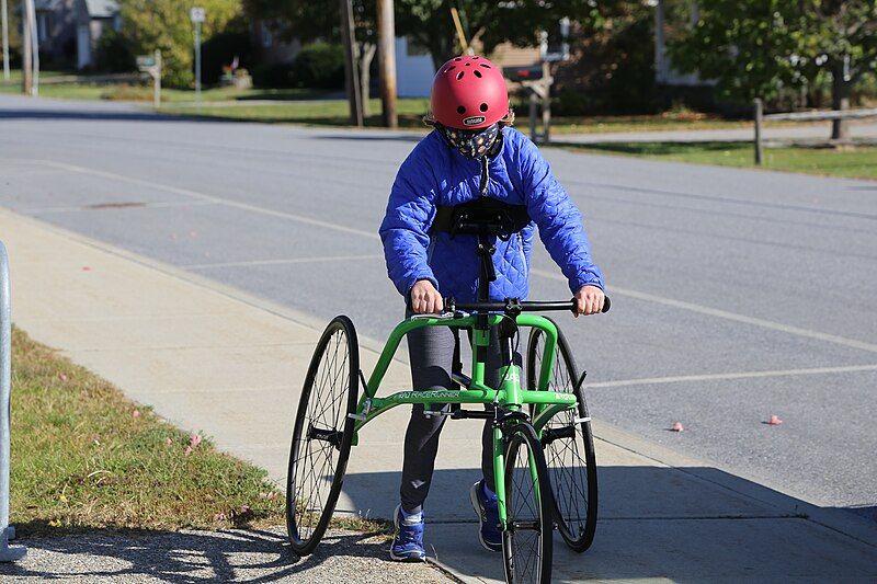 File:Sidewalk racerunner.jpg