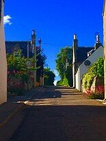 Burnside Road in Summer