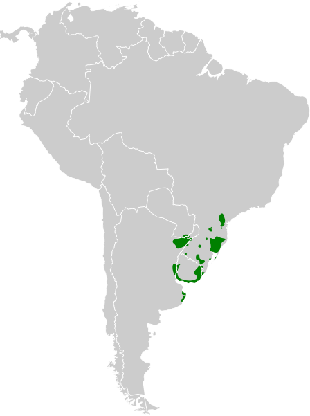 File:Xolmis dominicanus map.svg