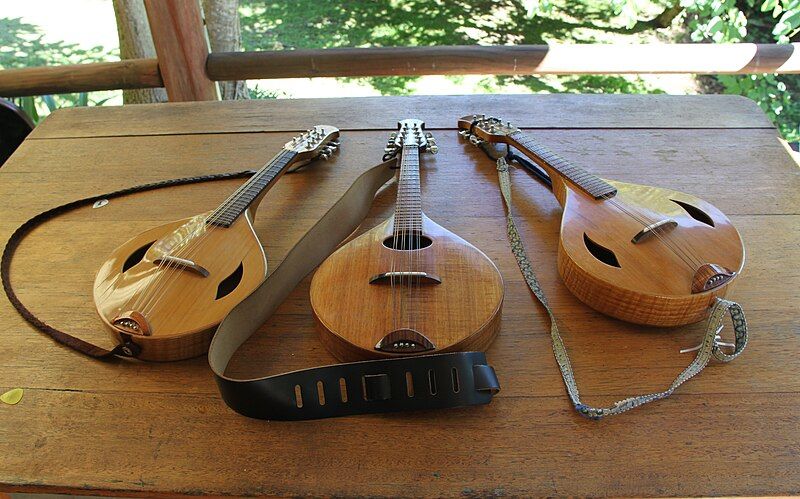 File:3 Brauchli mandolins.jpg