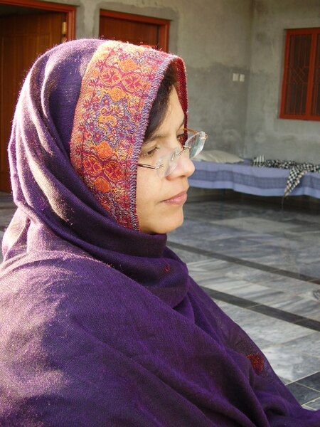 File:A Pakistani Woman.JPG