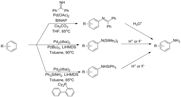 Ammonia equivalents in the Buchwald–Hartwig amination