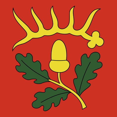 File:CHE Flaach Flag.svg