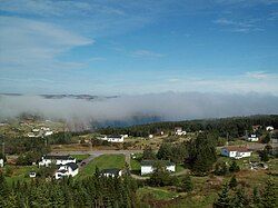 Overlooking the Main Road, Community Of Caplin Cove