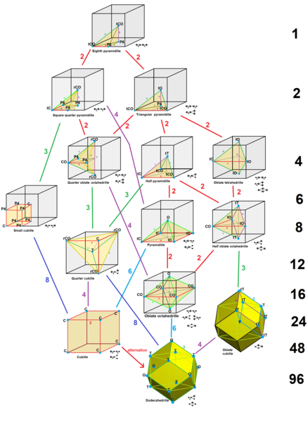 File:Catoptric tessellation cells.png