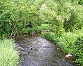 Credit River in Savage