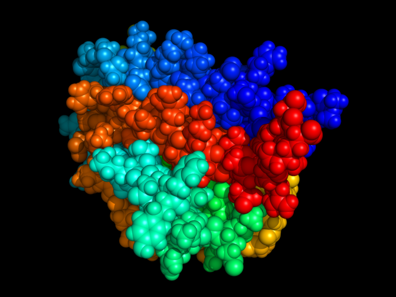 File:Erythropoietin.png