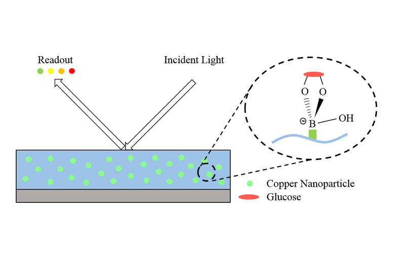 File:Glucose Sensor.png