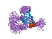 2f3i: Solution Structure of a Subunit of RNA Polymerase II