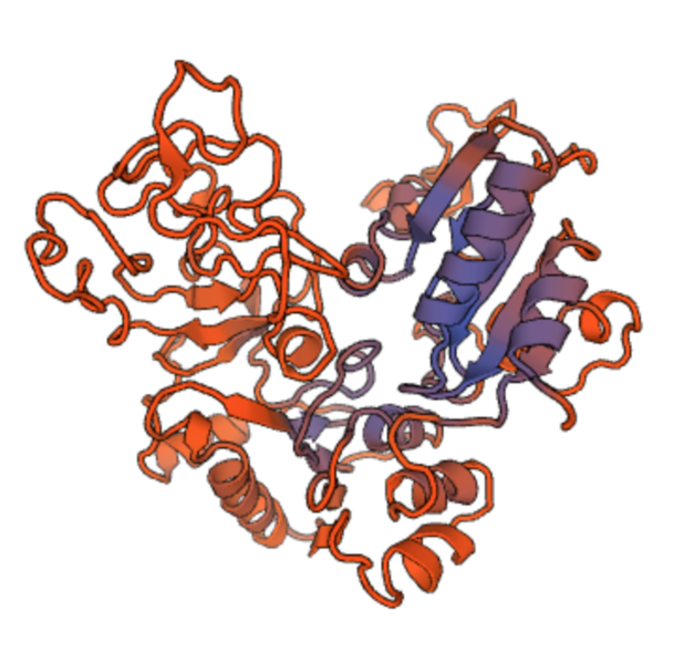 File:RRM3 Protein Model.png