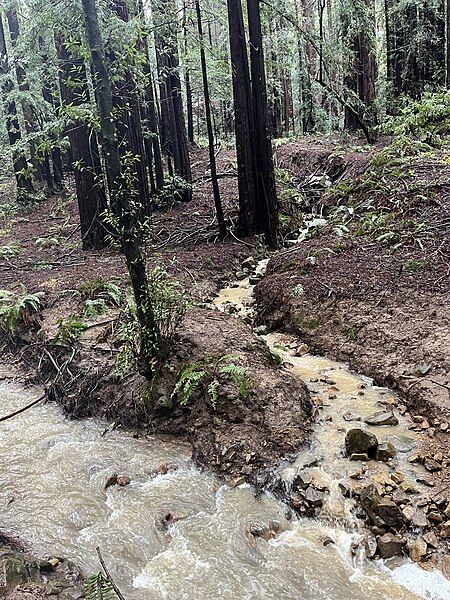 File:Redwood Creek Confluence.jpg