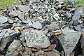 Petroglyphs at Saimaluu Tash